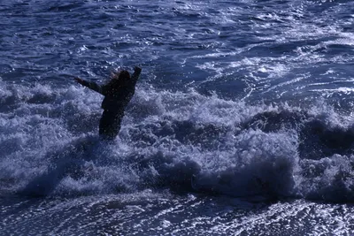 DSC_0458 (Large).JPG